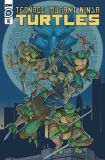 Teenage Mutant Ninja Turtles (2011) 111 (Retailer Incentive Cover)