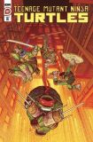 Teenage Mutant Ninja Turtles (2011) 117 (Retailer Incentive Cover)