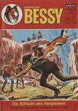 Bessy (1965) 133: Die Schlucht des Vergessens