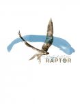 Raptor - Limited Edition