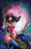 Grimm Fairy Tales (2016) 45 (Cover C)