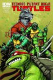 Teenage Mutant Ninja Turtles (2011) 002 (Cover A) (1st Printing)