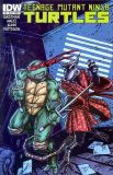 Teenage Mutant Ninja Turtles (2011) 013 (Cover B)