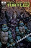 Teenage Mutant Ninja Turtles (2011) 019 (Cover B)