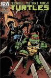 Teenage Mutant Ninja Turtles (2011) 022 (Cover B)