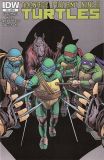 Teenage Mutant Ninja Turtles (2011) 025 (Cover RI)