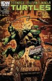 Teenage Mutant Ninja Turtles (2011) 027 (Cover B)