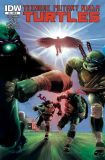 Teenage Mutant Ninja Turtles (2011) 031 (Cover RI)