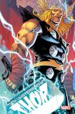 Der unsterbliche Thor (2024) 01: Sturmfront (Variant-Cover-Edition)