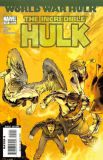 Incredible Hulk (1999) 111: World War Hulk (Regular Cover)