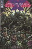 Teenage Mutant Ninja Turtles: Dimension X (2017) 05 (Incentive Cover)