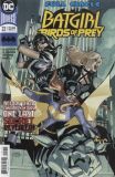Batgirl and the Birds of Prey (2016) 22